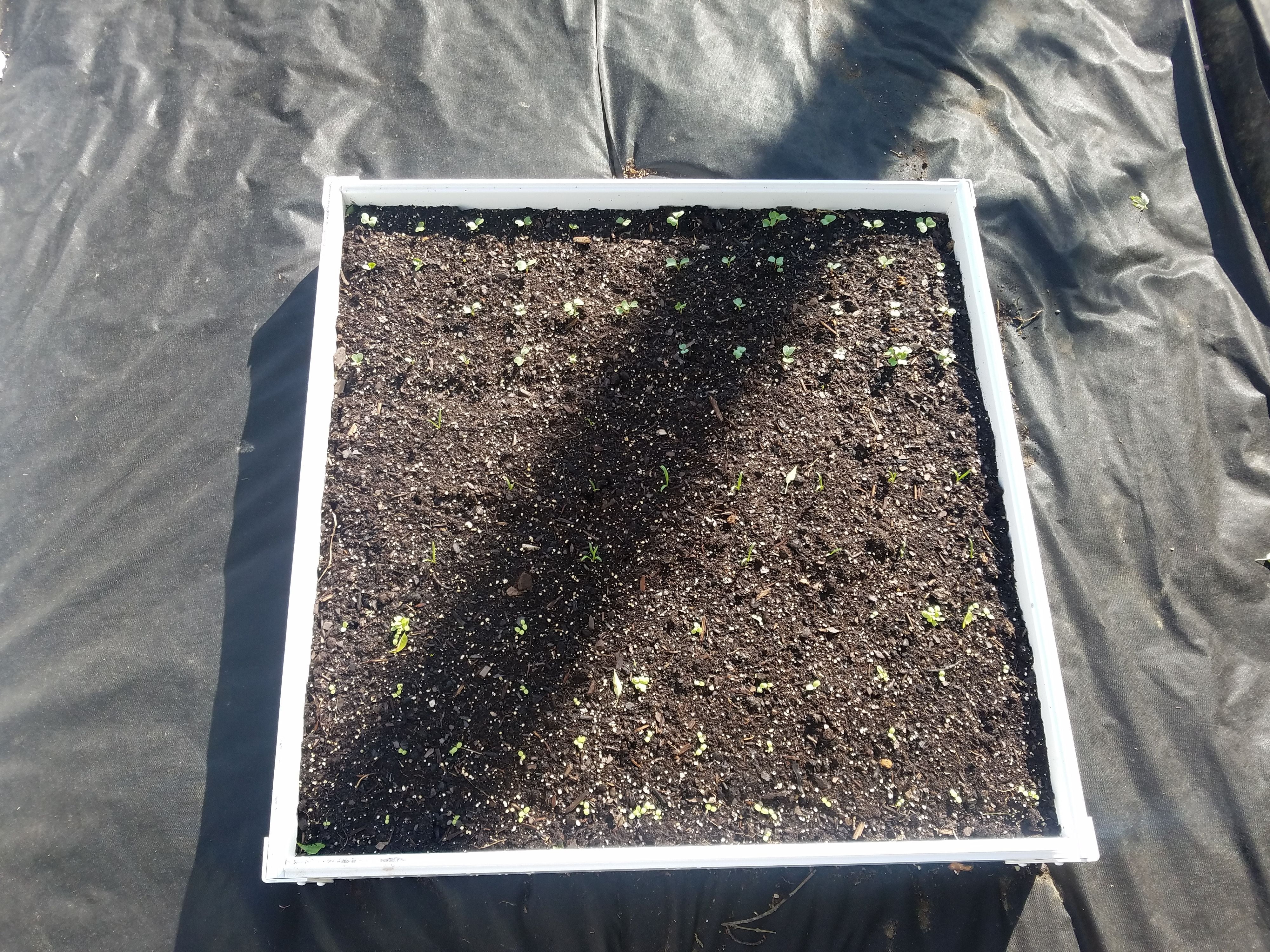 Handy Bed  3 x 3 ft. Vinyl Raised Garden Bed, White