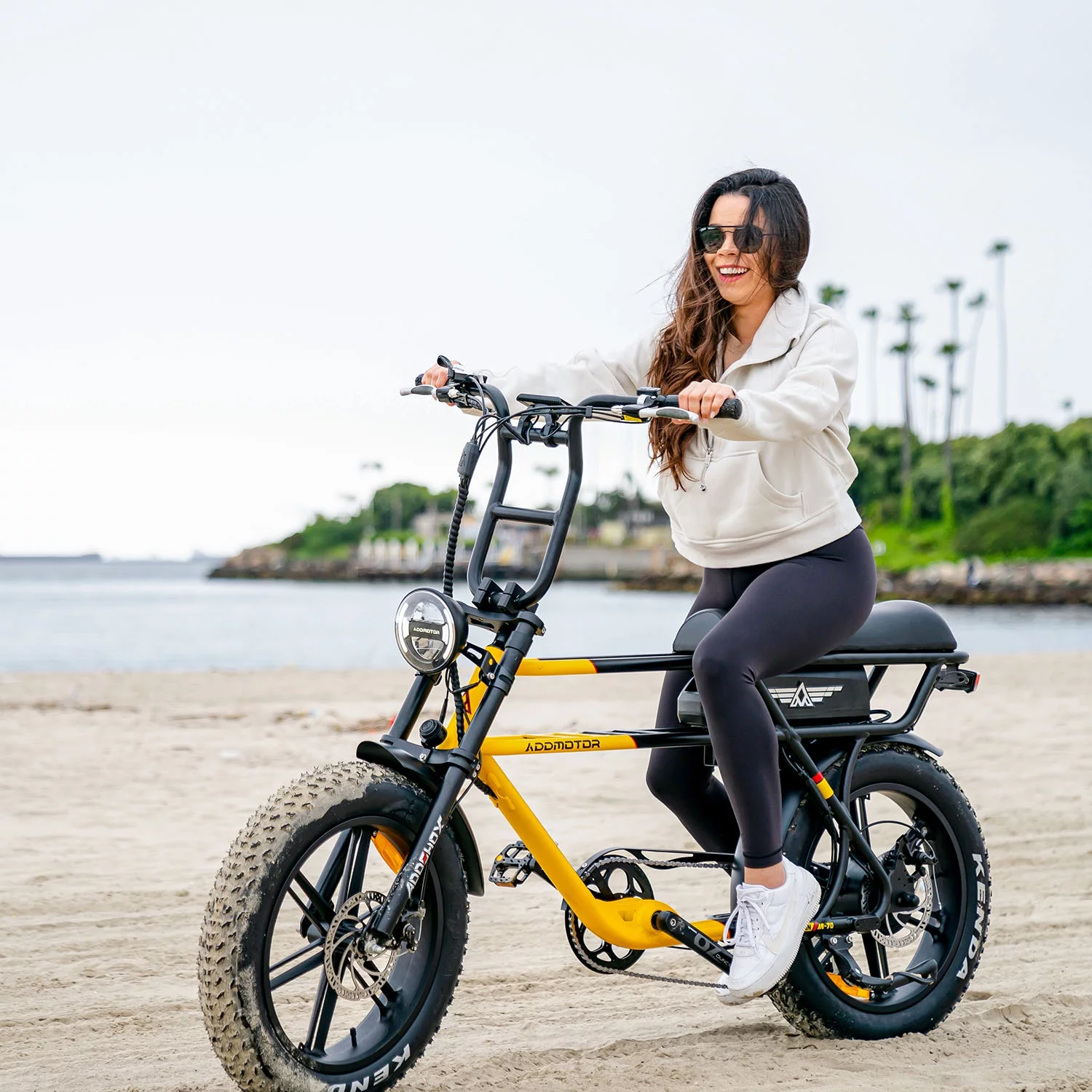Addmotor Electric Bike for Adult 750W 20