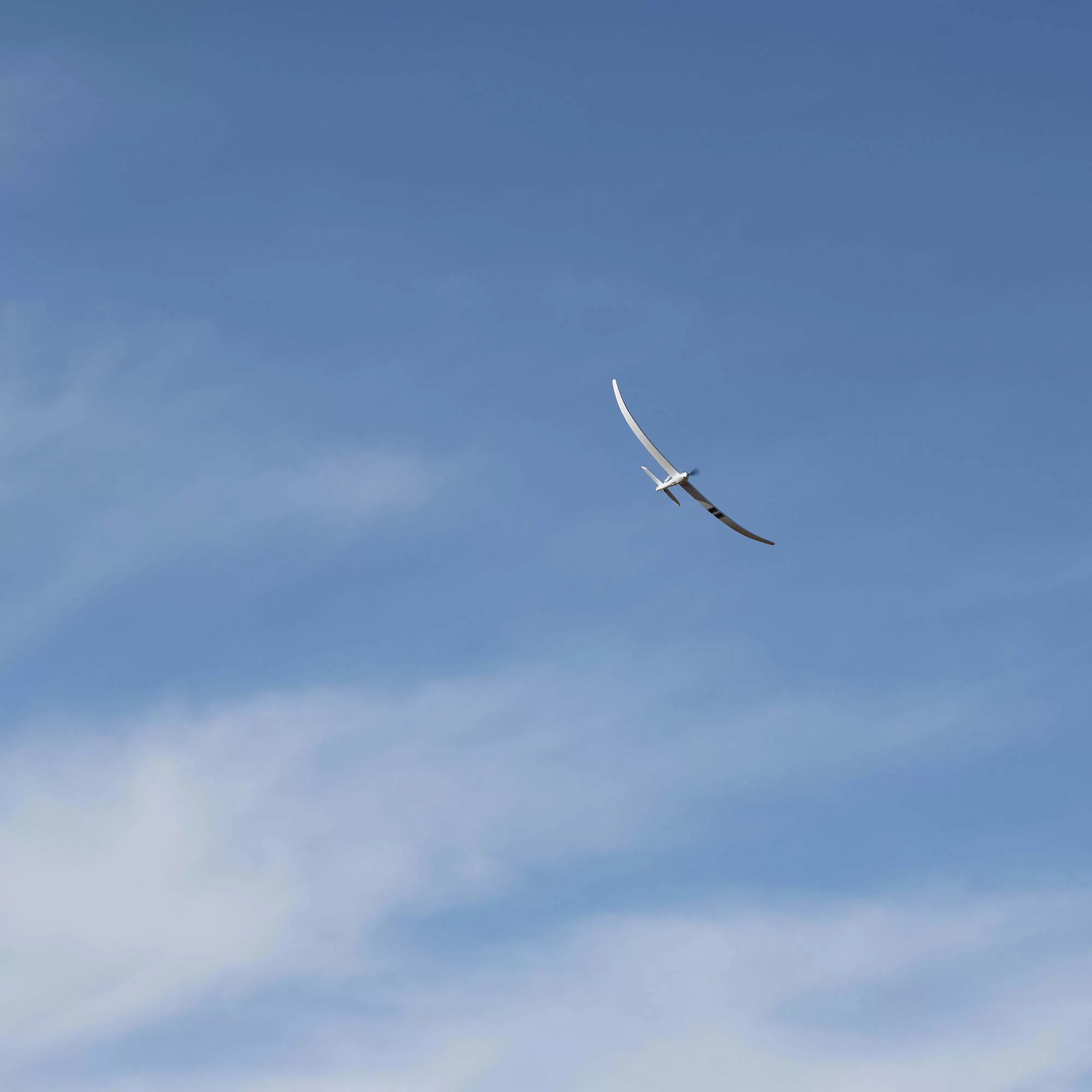 E-flite RC Airplane Night Radian 2.0m BNF Basic Transmitter Battery and Charger Not Included EFL36500 Airplanes B&F Electric