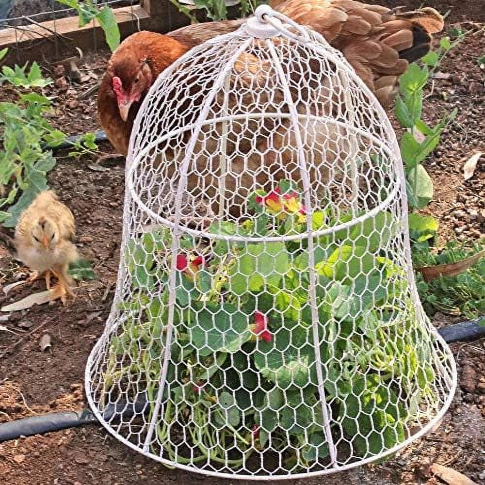 X  Squirrel Proof Chicken Wire Cloche For Plants Metal Plant Cover Cage Garden Animal ion Metal Plant Cage or Dome Rabbit Bunny Guard ( White)