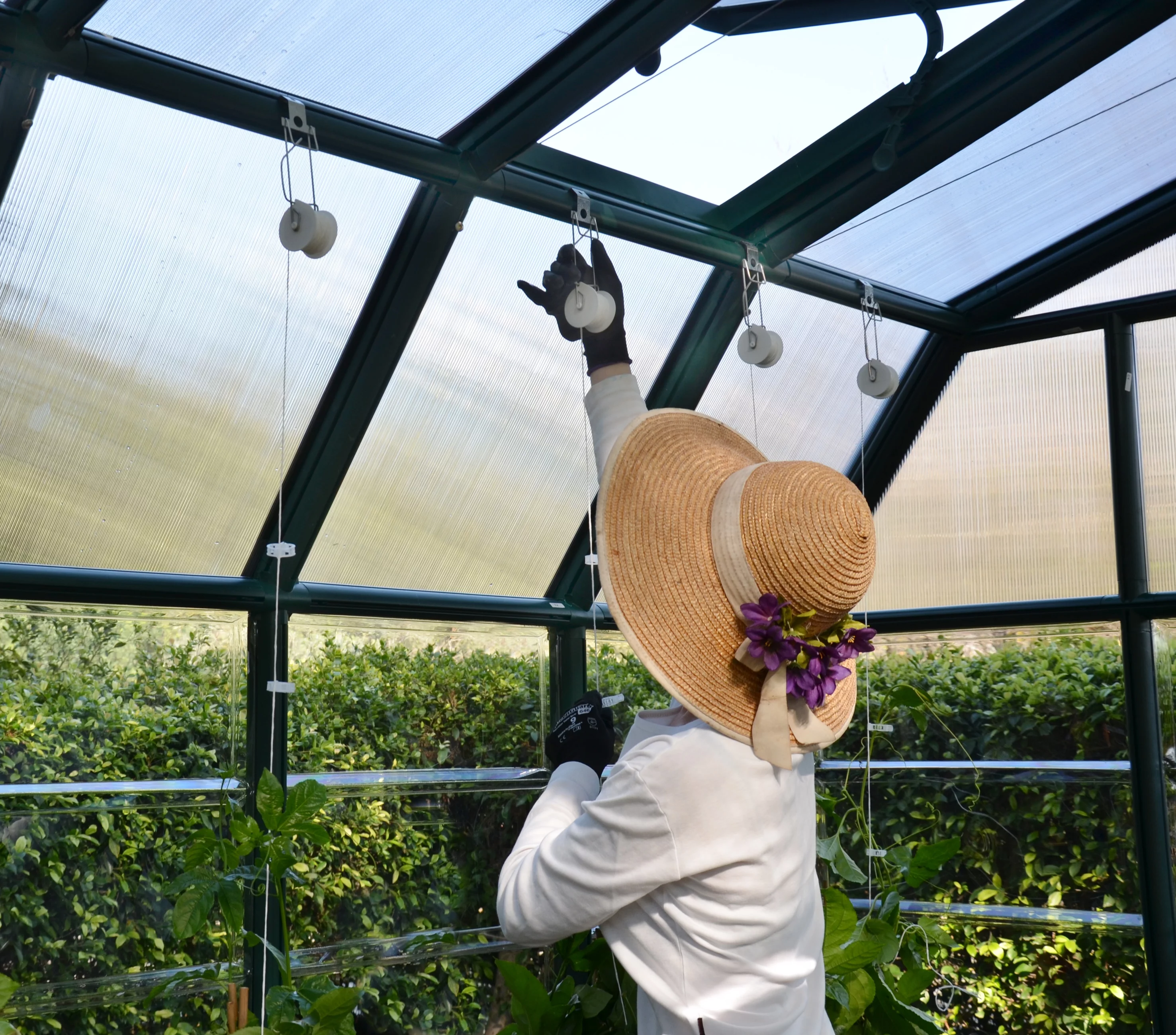 Palram - Canopia Greenhouse Trellising Kit