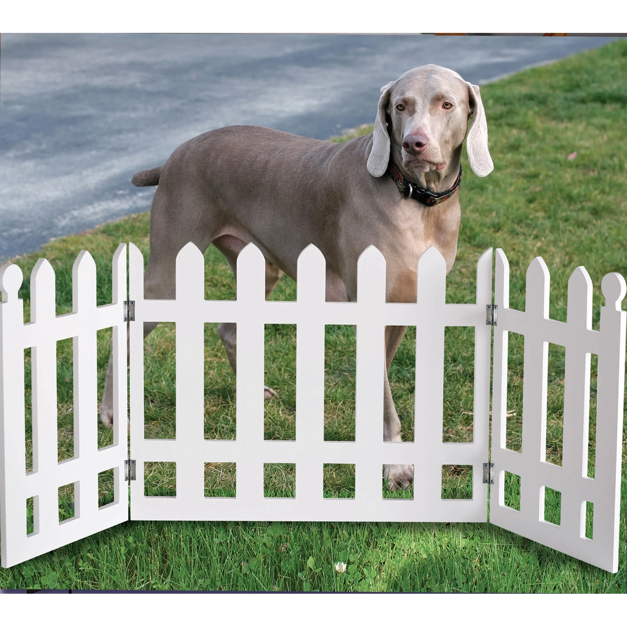 Etna Products Folding White Picket Fence Free Standing Pet Gate. 19