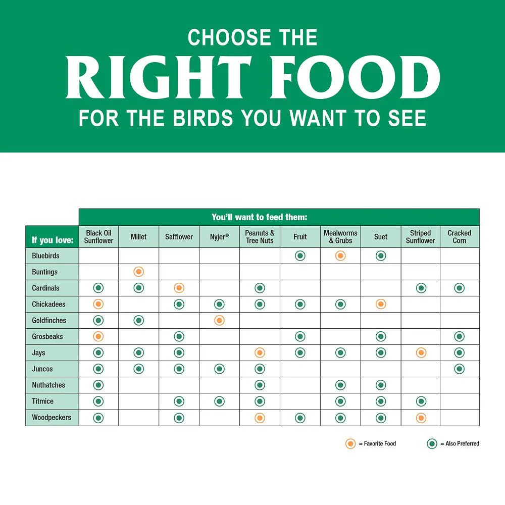 Royal Wing Grey-Striped Sunflower Wild Bird Food, 20 lb.