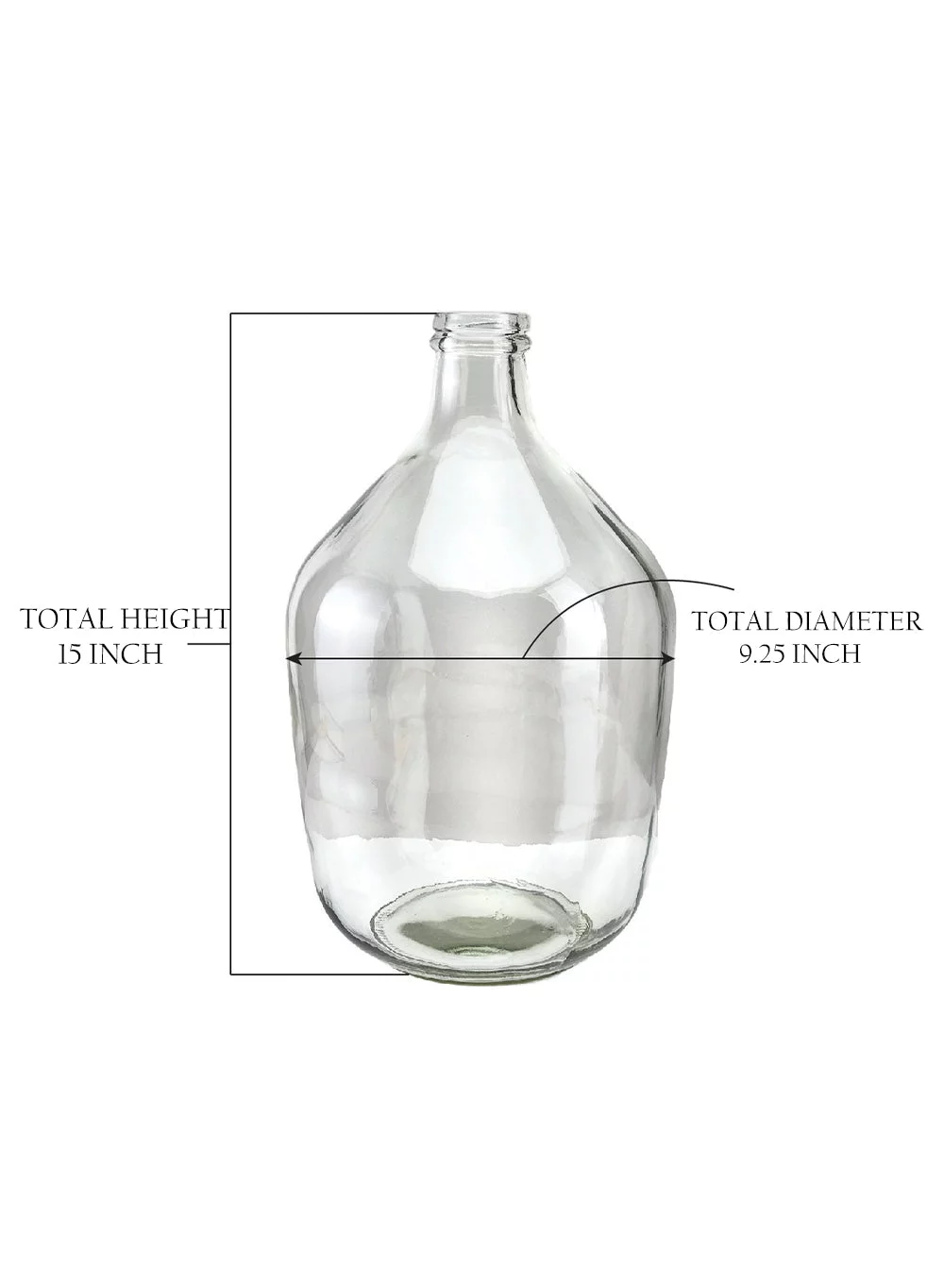 Serene Spaces Living Big Glass Bottle Vase, 9.25