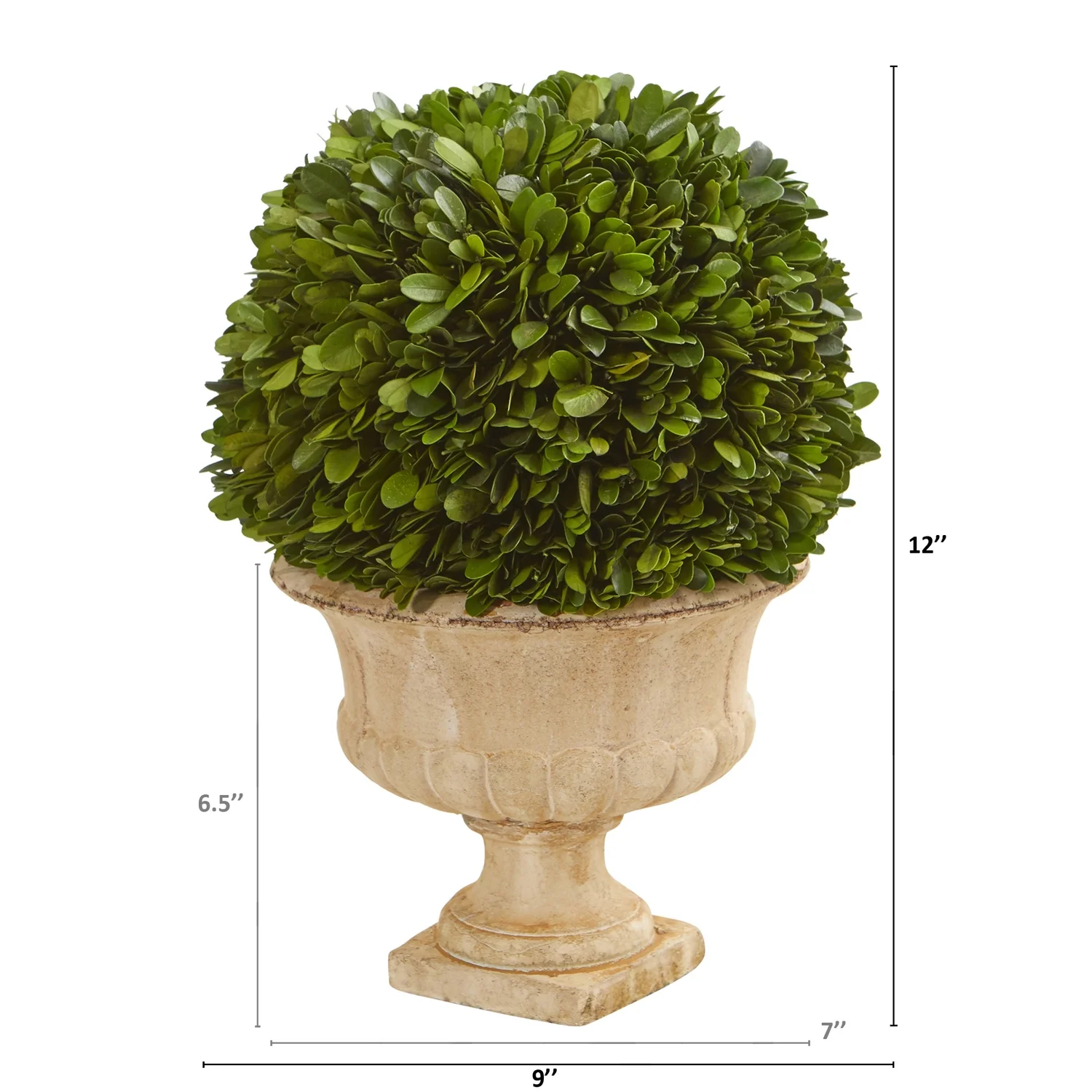 HomeStock 12In. Coastal Craftsman Elegance Topiary Ball Preserved Plant In Decorative Urn