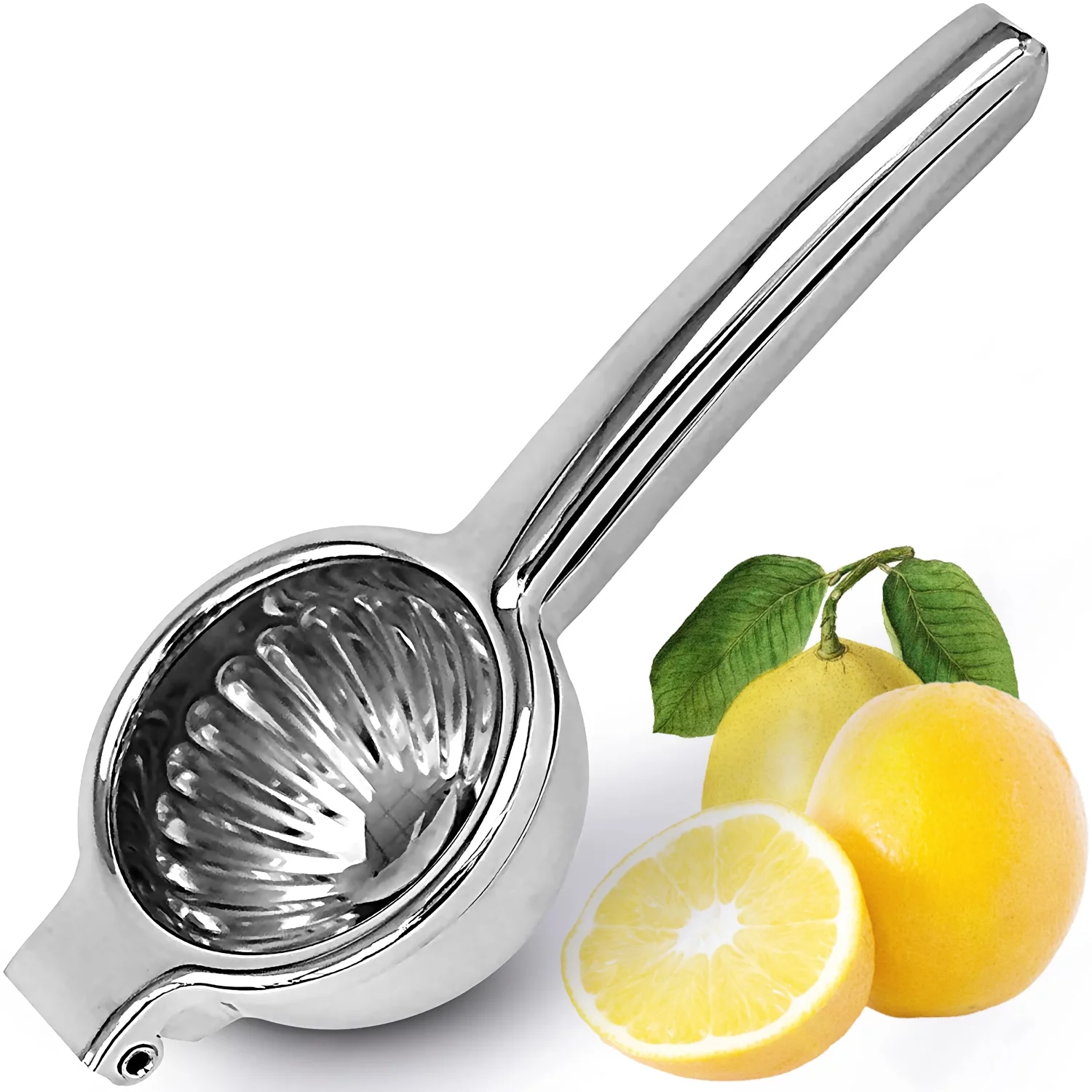 Malai Exclisive Light Weight Manual Lemon Squeezer Stainless Steel Citrus Fruit Lime And Lemon Juicer