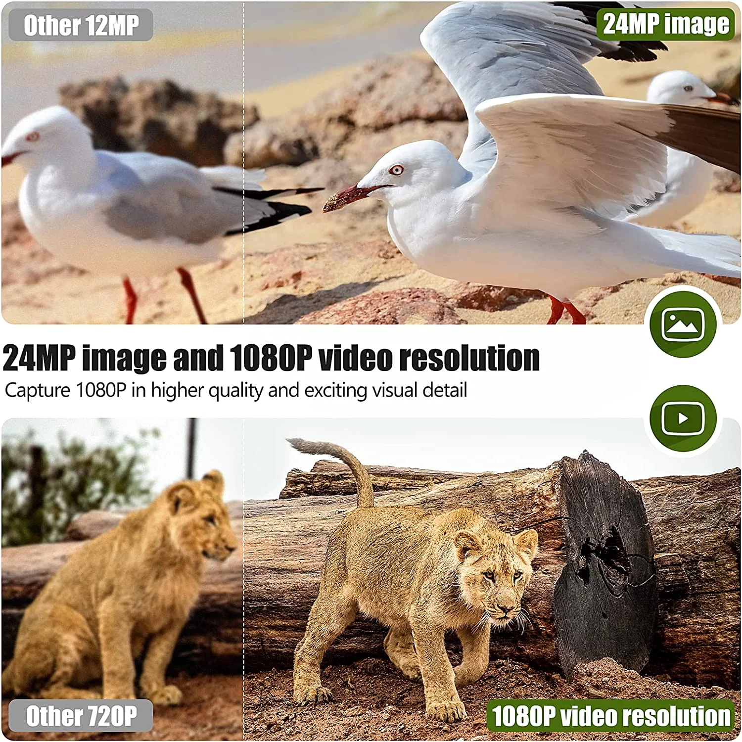 CAMPARK Solar Powered Trail Camera with SD Card 24MP 1080P 2500mAh Built-in Lithium Battery Rechargeable Game Wildlife Hunting Camera with Waterpoof IP66 Night Vision 0.1s Motion Activated-No WIFI