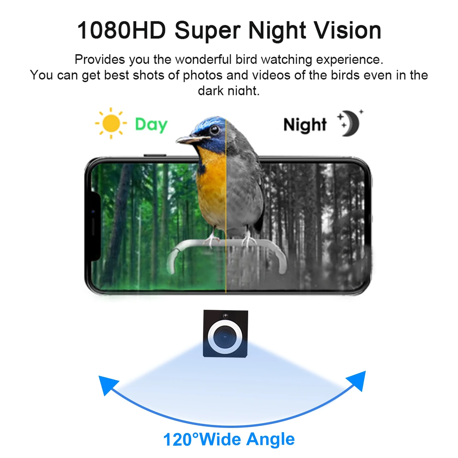 Carevas Smart Bird Feeder with 1080P Camera, Color Night Vision, AI Bird Species Identification, PIR Human Detection, Squirrel Deterrent, IP65 Waterproof, 2.4G WiFi, and 2-Way Audio