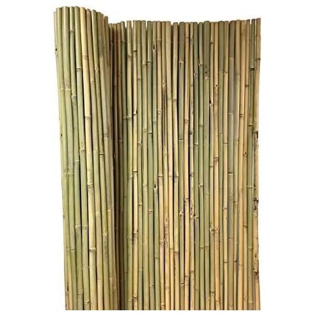 Tonkin Bamboo Fence 4'H X 6'L