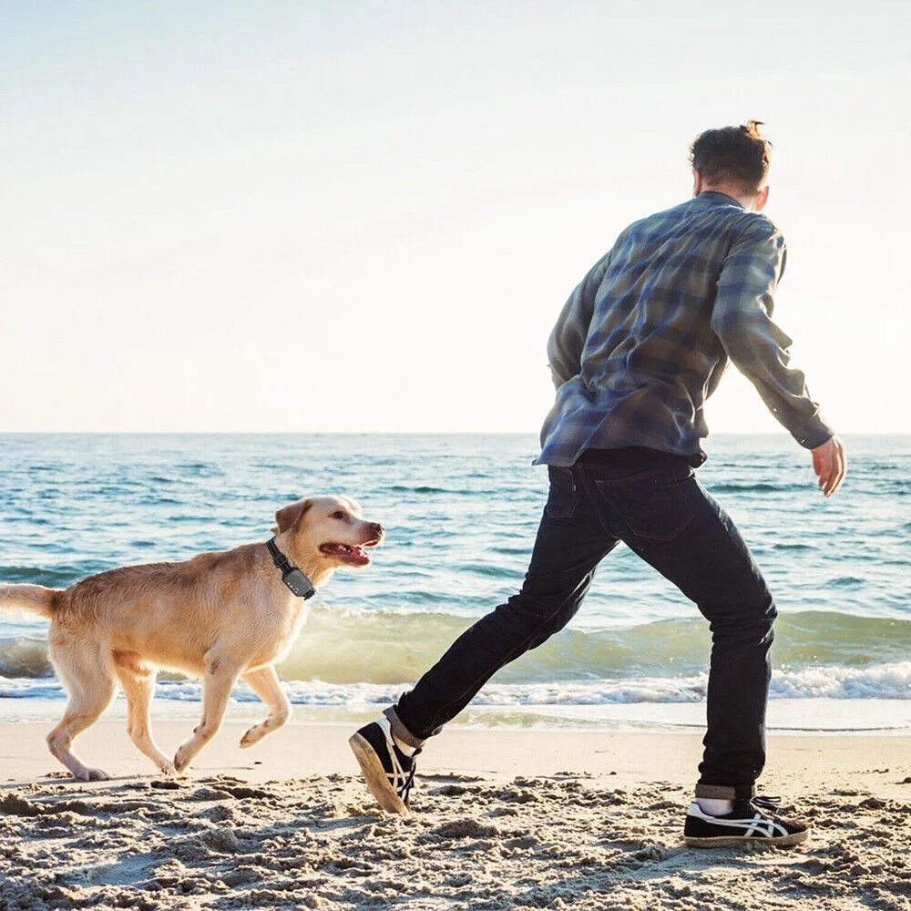 Pet Dog GPS Wireless Electric Fence Containment System Training Collar Shock