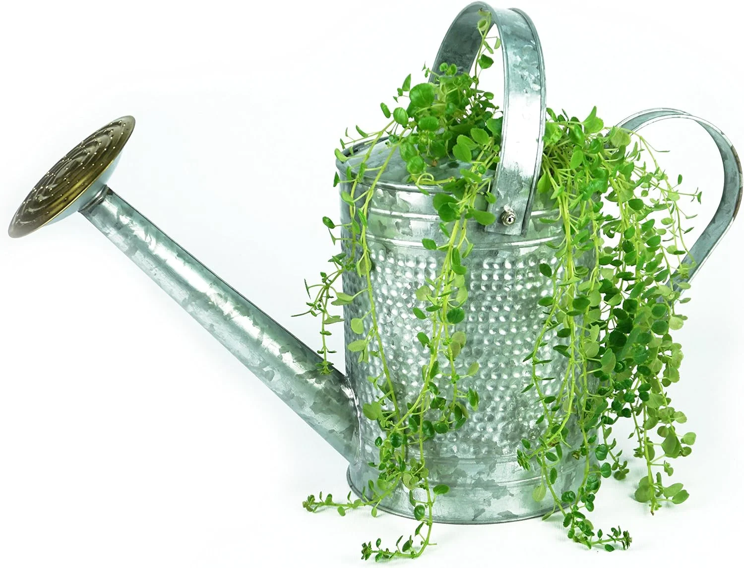 Home & Garden MPT01191 Jameson Metal Watering Can, 1 Gallon, Galvanized