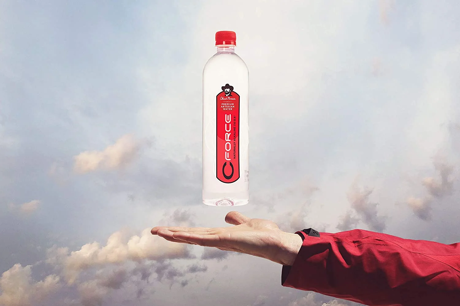 Natural Artesian Bottled Water, Naturally High Ph, 700Ml (23.7Oz), (12 CT)