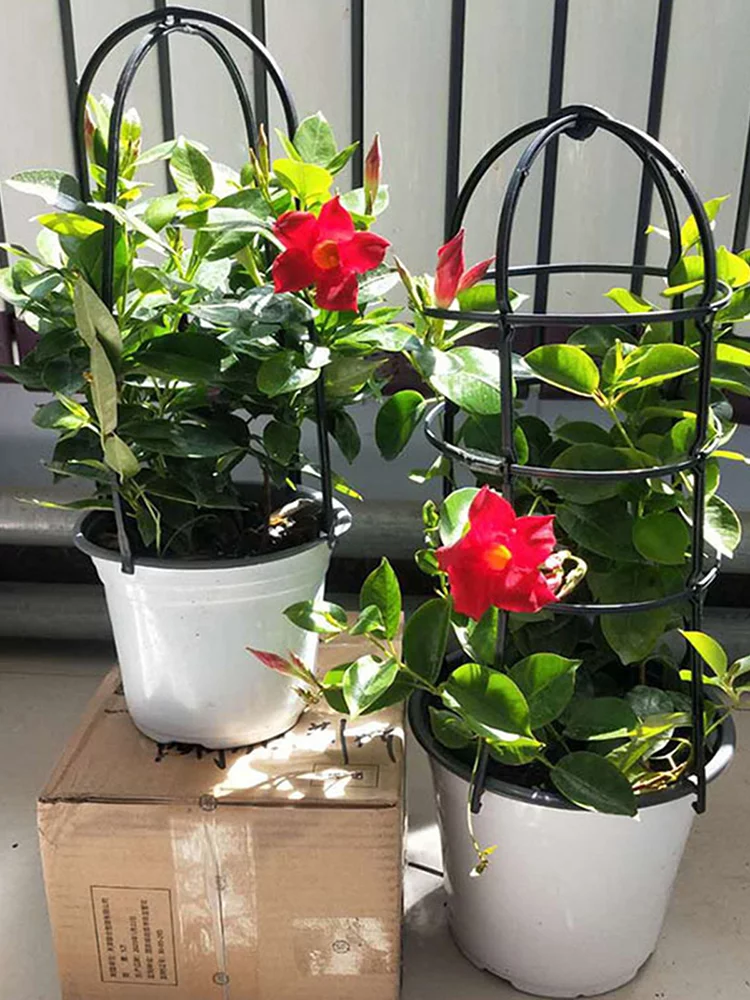 Huntermoon Plant Flower Stand Garden Trellis Waterproof Fencing Panels PP Black Trees Beans 6PCS Plastic Natural U-Hoops U-shaped