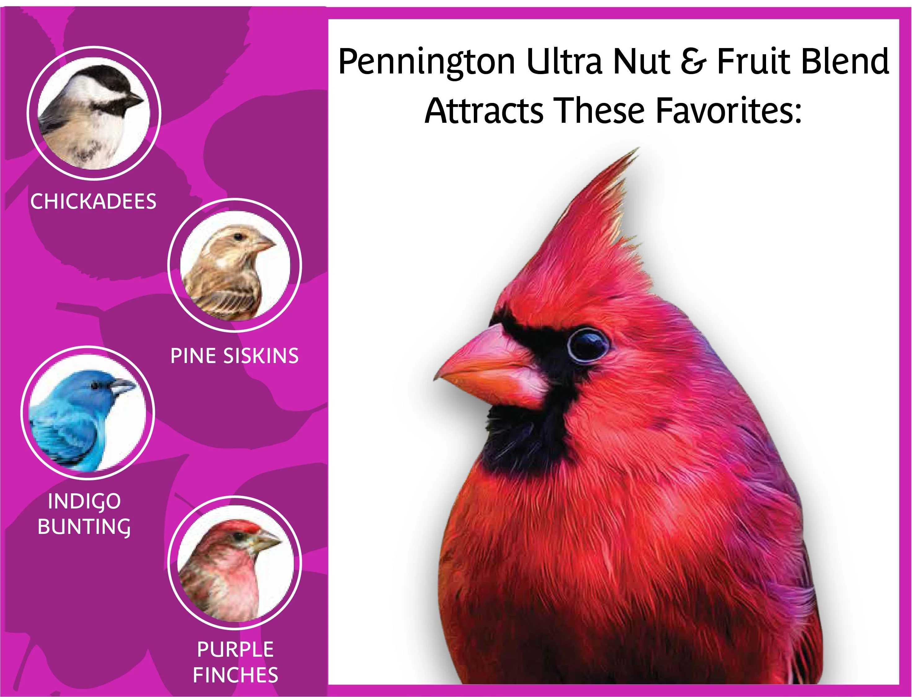 Pennington High Energy Nut & Fruit Blend, Dry Wild Bird Seed, 5 lbs., 1 Pack