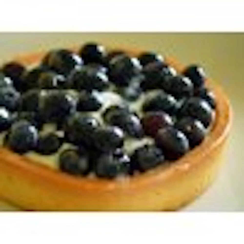 Bulk Dried Blueberries 10 Pound Wholesale Box