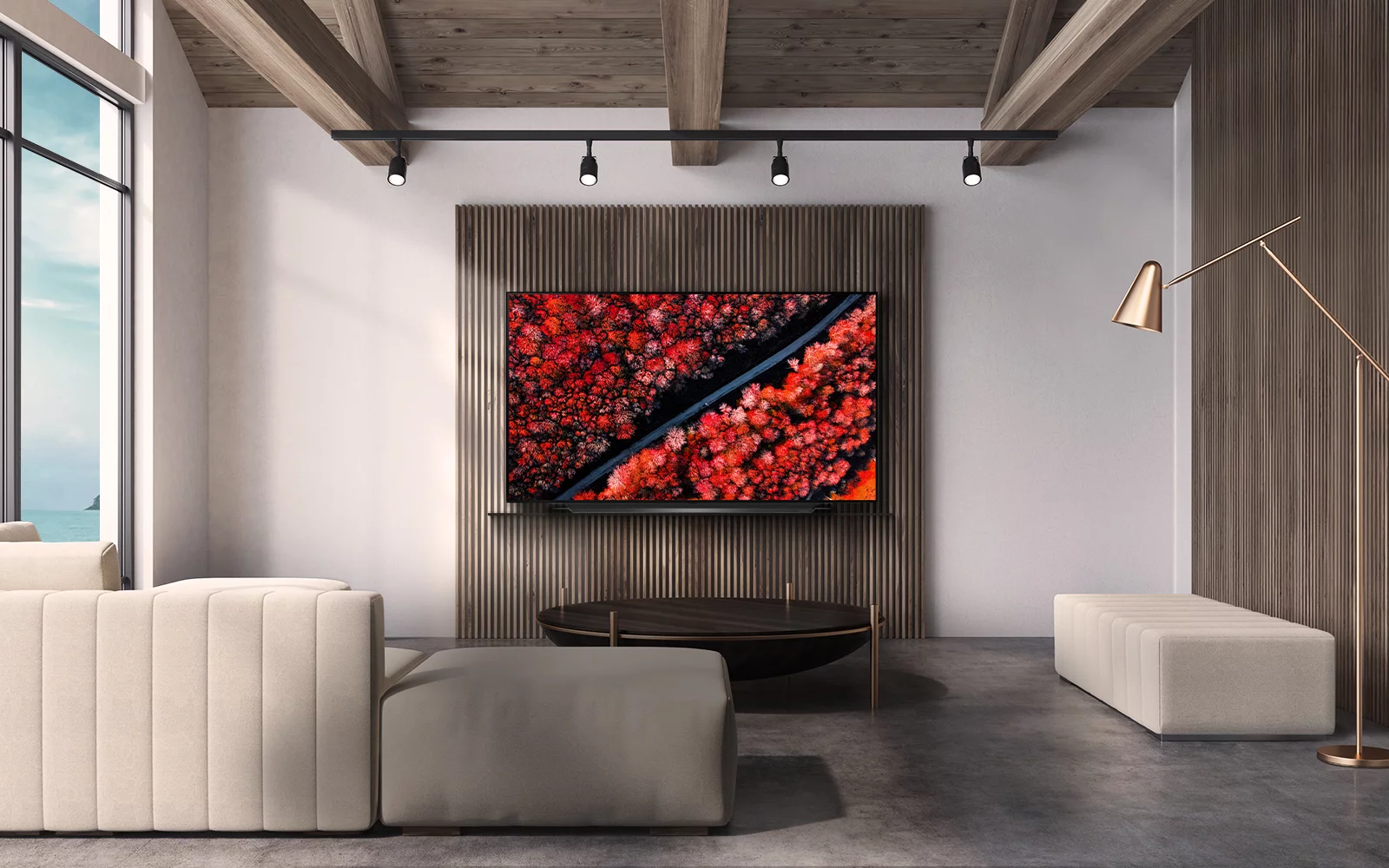 LG 65 Inch Class OLED C9 Series 4K (2160P) Smart Ultra HD HDR TV - OLED65C9PUA 2019 Model