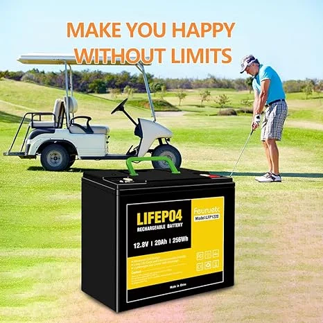 Feuruetc 12V 20Ah Deep Cycle LiFePO4 Battery,12 volt lithium phosphate battery for Camping，Fish Finder, Scooter, Security System, Ride on Toys Automotive Replacement Batteries，UPS etc Rechargeable Lit