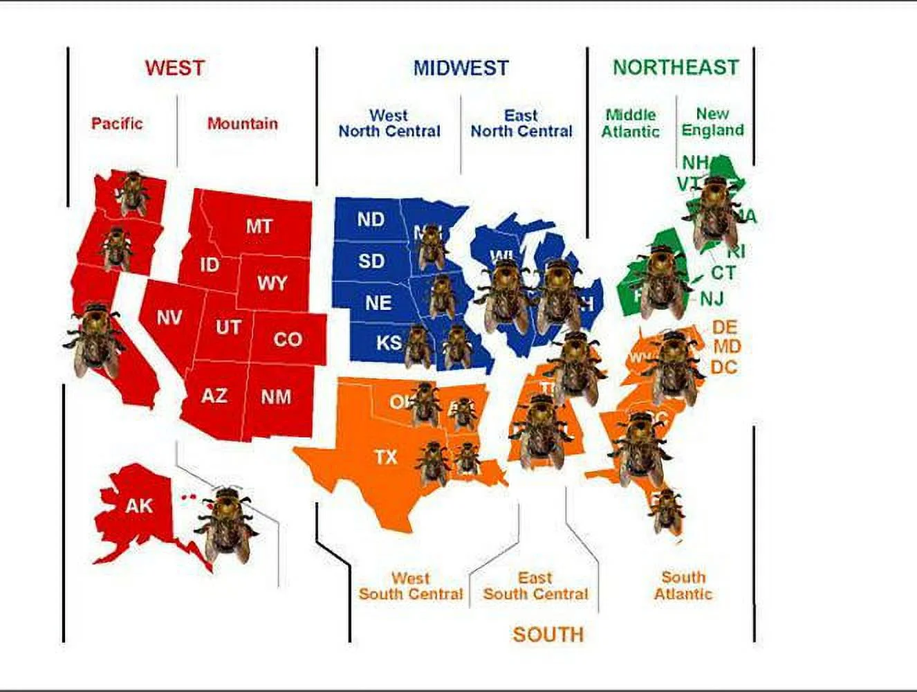 Bees N Things Universal Carpenter Bee Trap