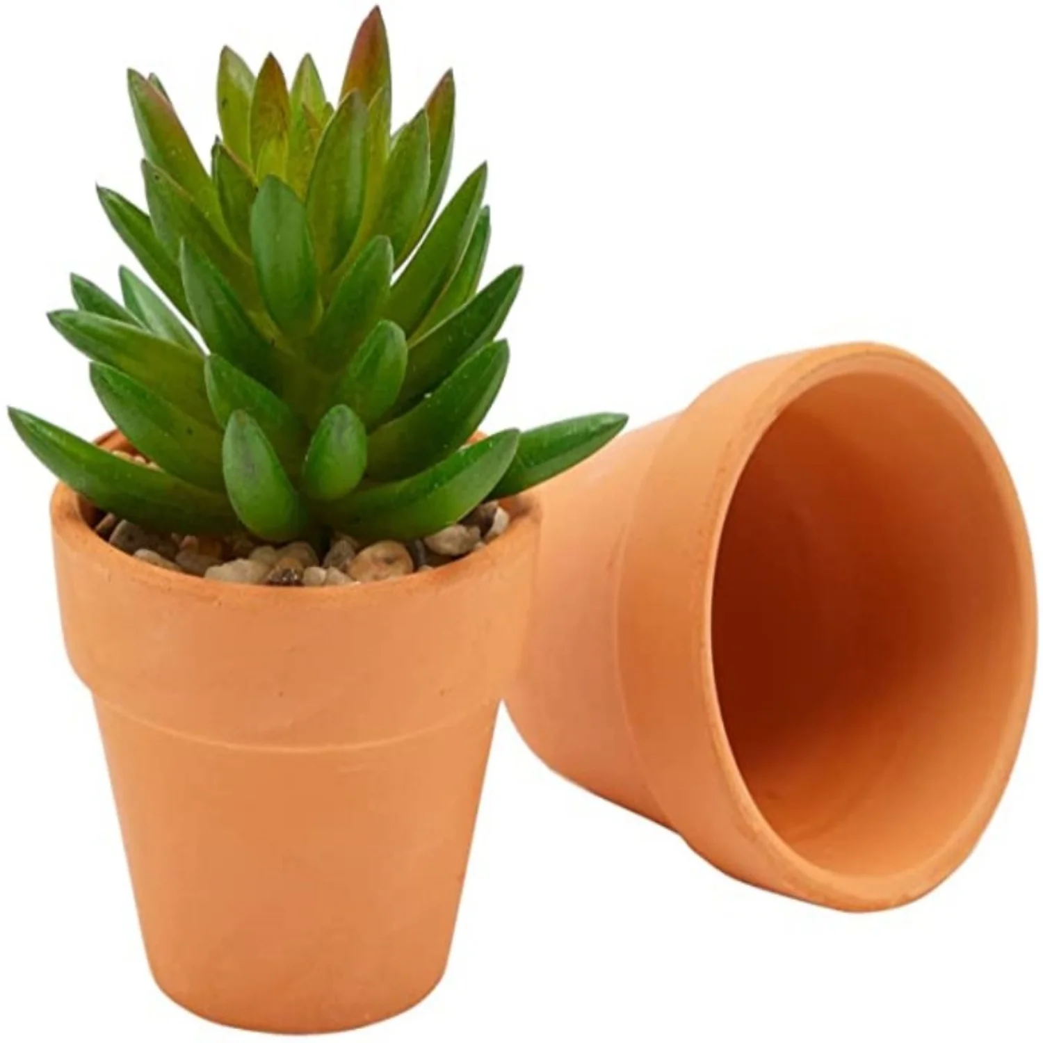 2.5 Inch 10 Pack Terracotta Planter Pots with Drainage Holes  Small Clay Flower Pots  Plants  Succulents  Crafts