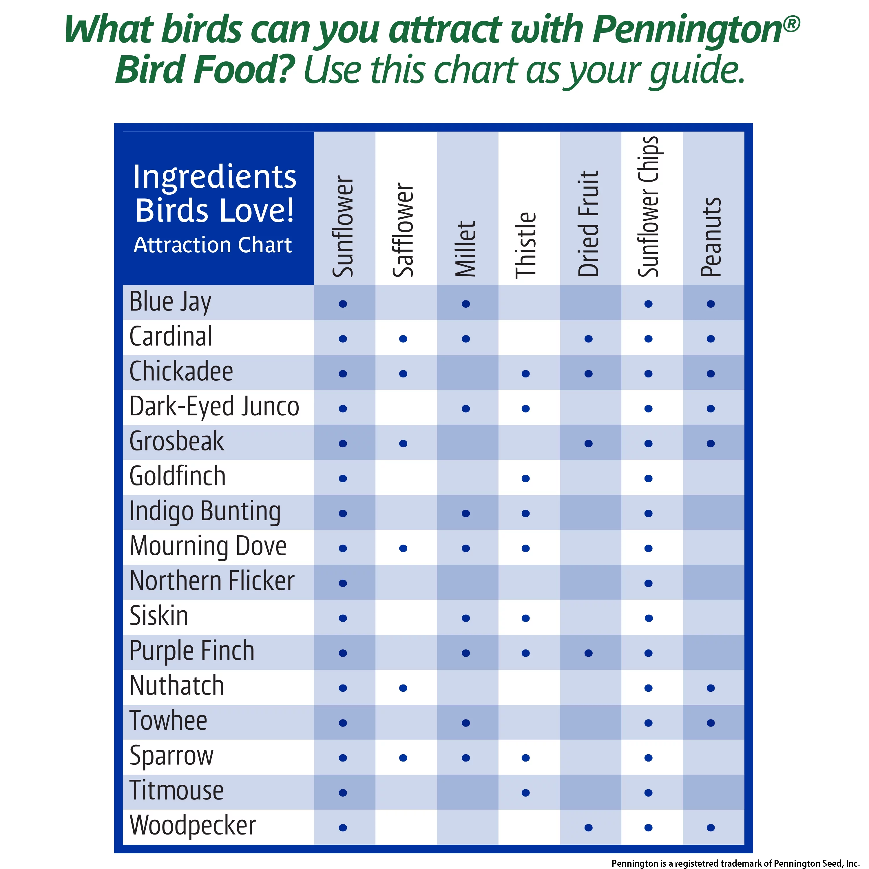 Pennington Premium Select Blend Dry Wild Bird Feed and Seed, 20 lb., 1 Pack