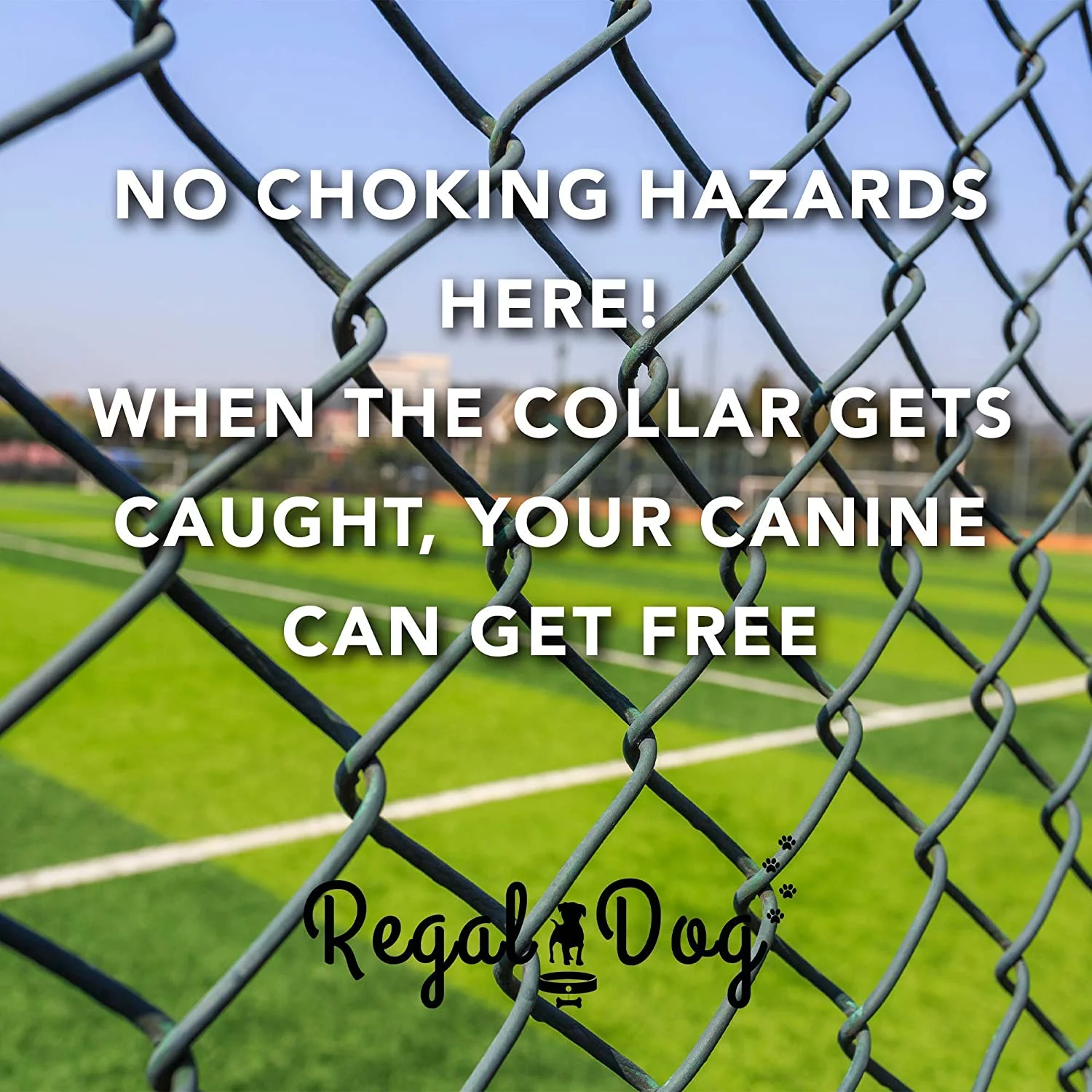 Heavy Duty Reflective Dog Collar – Adjustable Dog Collar with Durable Metal Buckle and Center Ring, Anti-Odor, chew Resistant, Waterproof Dog Collar for Small, Medium and Large Dogs