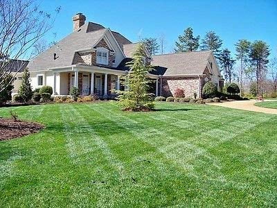 Centipede Grass Seed