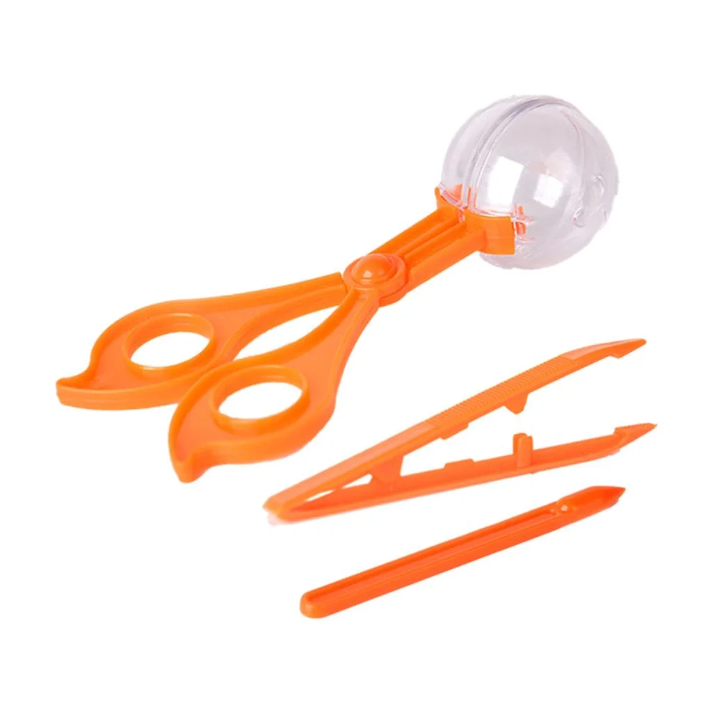 Bug Catching 3 Piece Collection Nature Exploration Toddlers Boys and Girls