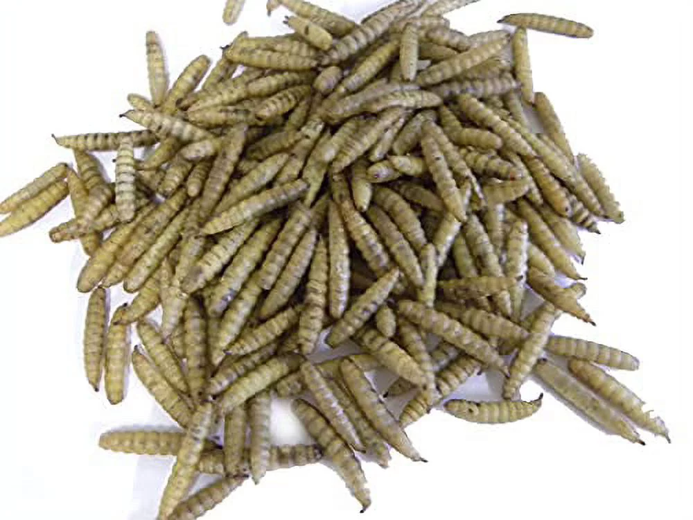 NaturesPeck Value Pack- 16lbs (11lbs Mealworms + 5lbs Dried Black Soldier Fly Larvae