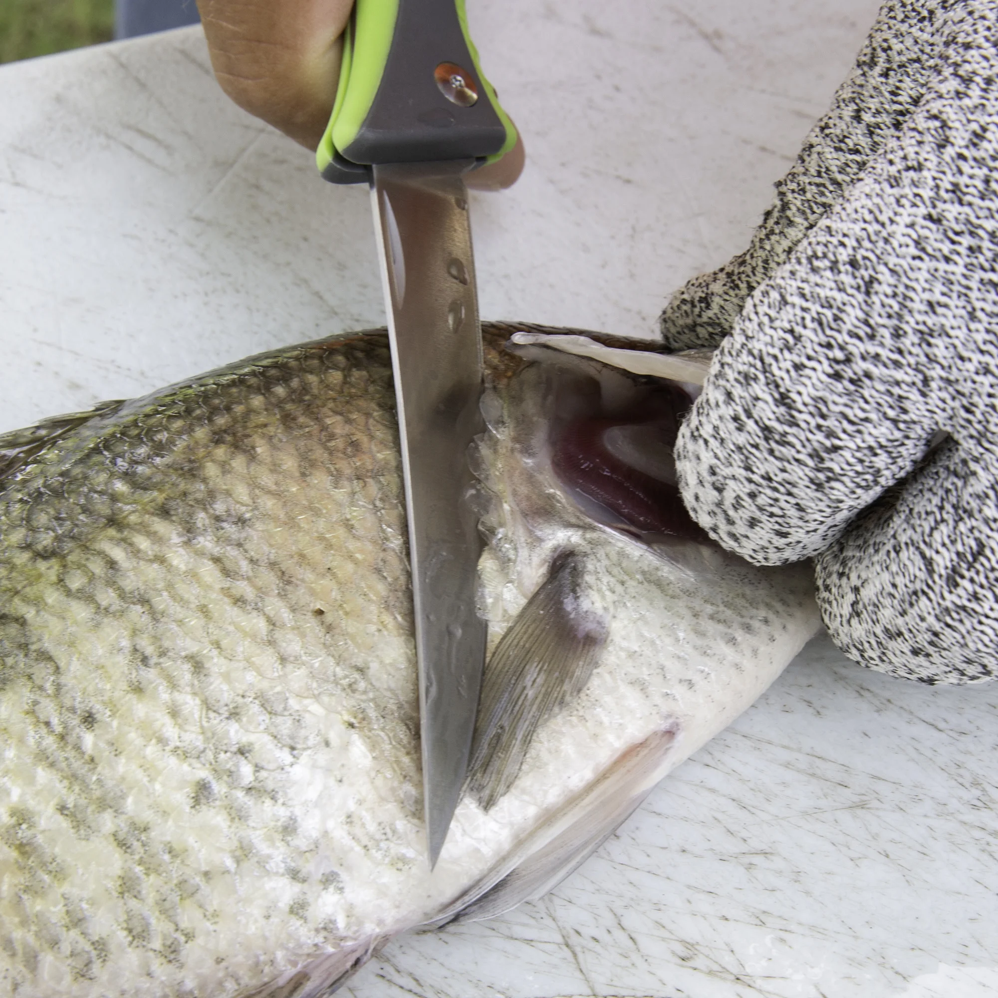 SMITH'S REGALRIVER 51383 4 IN FOLDING FLEX FILLET KNIFE GREEN