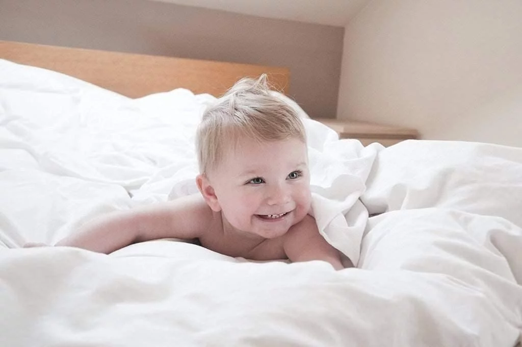 Alive Pixels Flat Sheet Taupe Solid 100% Cotton 1Pc Top Sheet 800TC (King, Taupe)