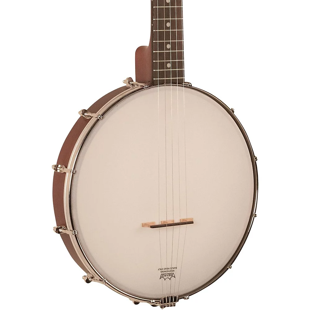 Recording King RKO-3S Open-Back Banjo
