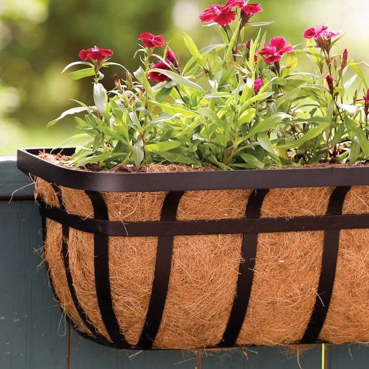 Panacea 88557GT 30 Inch Flat Iron Window Planter Trough Basket - Quantity of 4