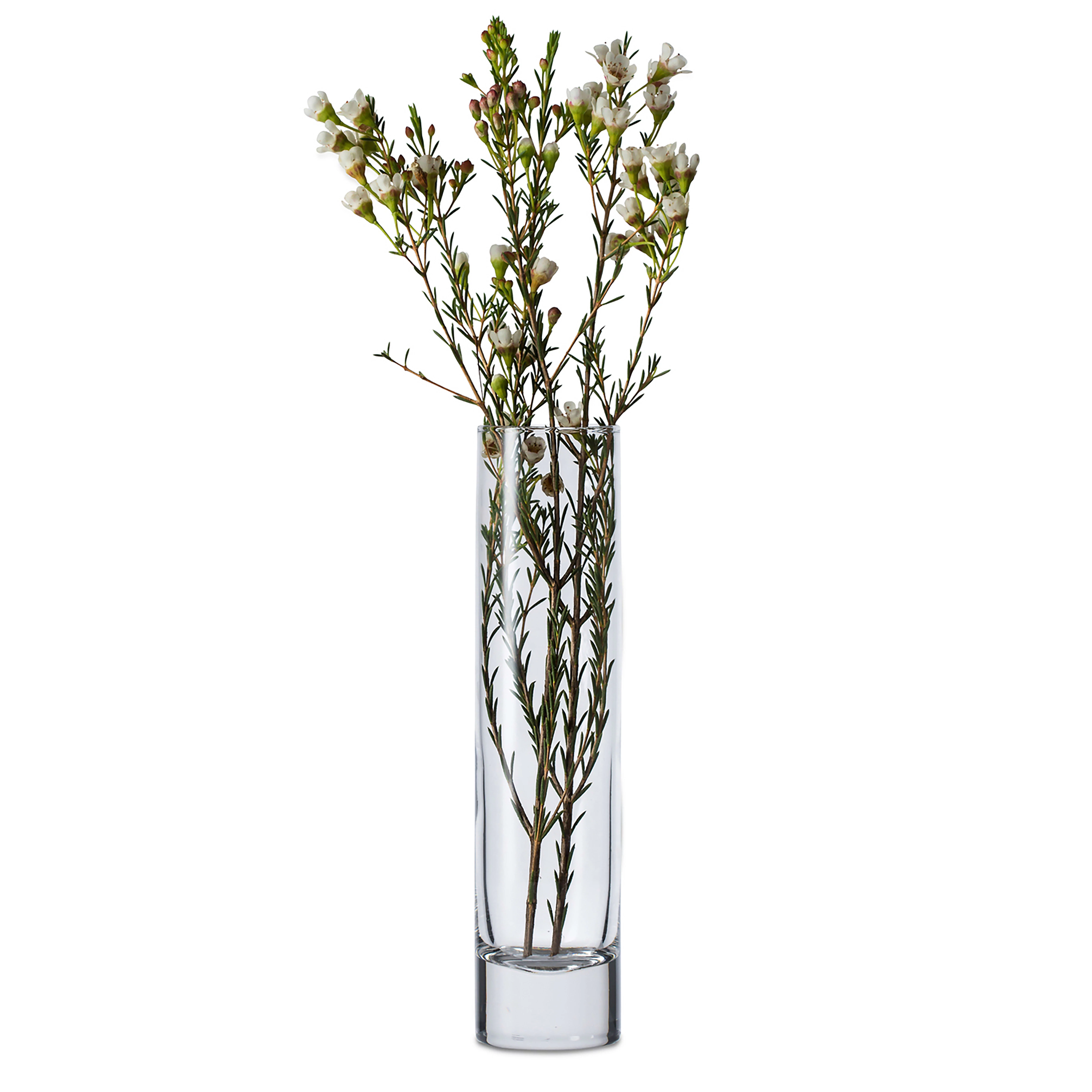 Libbey Cylinder Bud Vases, 7.5-inch Tall, Set of 12