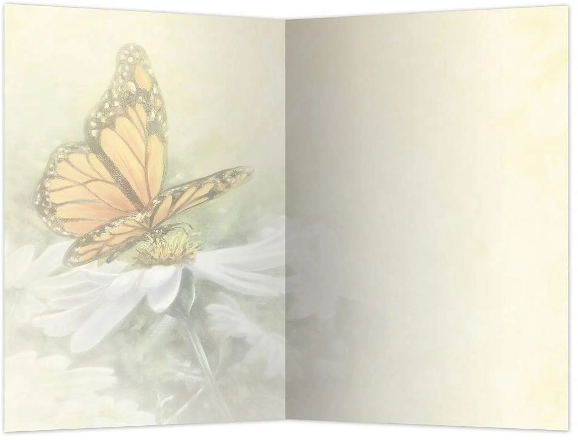 Tree-Free Greetings All Occasion Greeting Card 12 Pack, 100% Recycled Paper, 4x6, Rays of Light (FS66503)