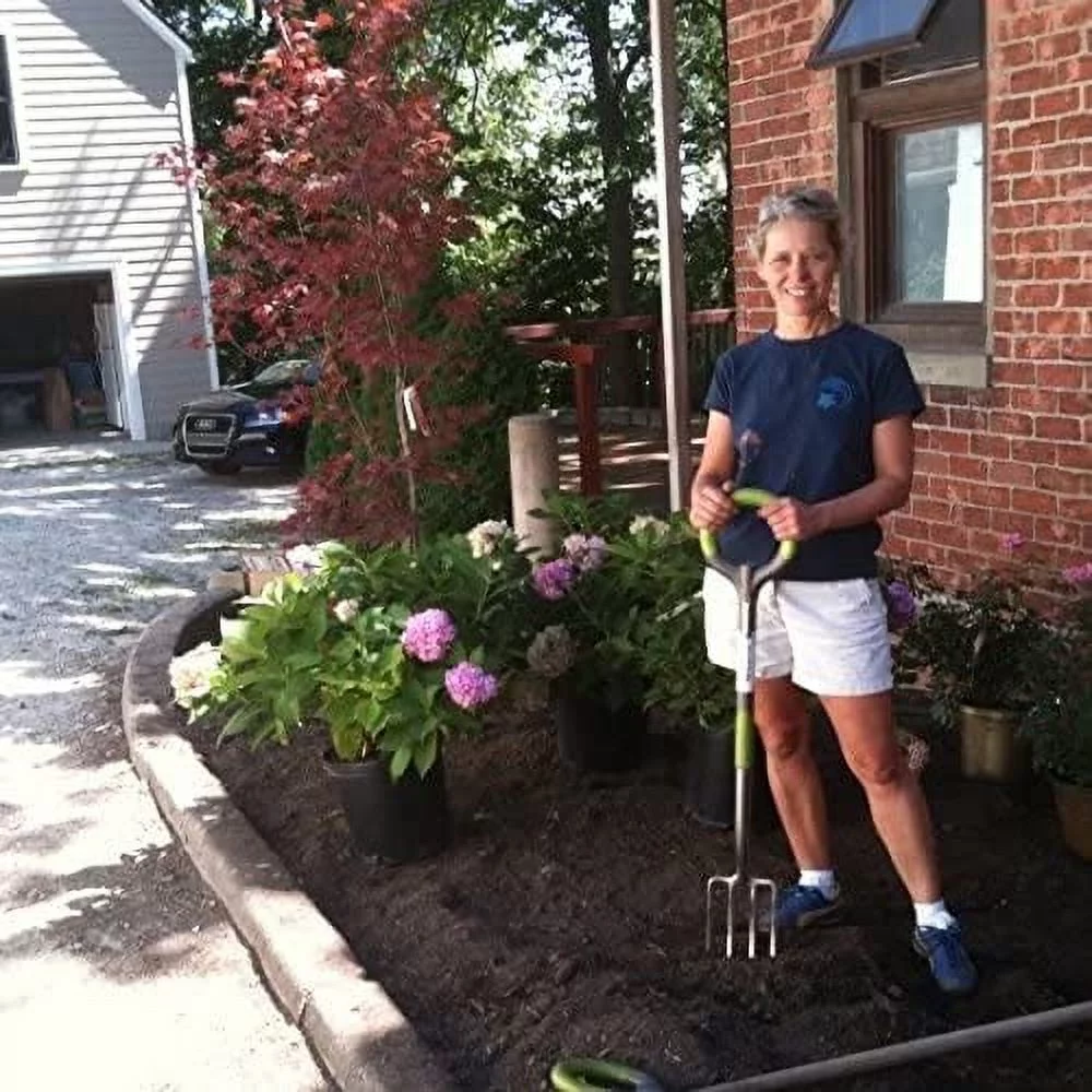 Radius Garden PRO 38 Inch Stainless Steel Ergonomic Grass Lawn Edger Tool, Green