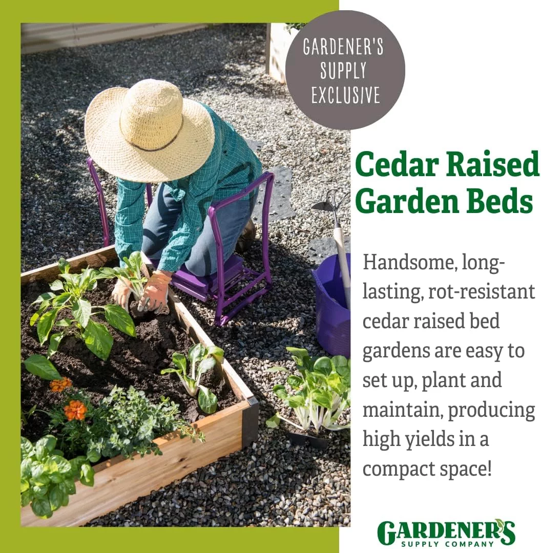 Cedar Raised Garden Bed | Weather Resistant Outdoor Square Planter Box For Plants, Herbs Flowers & Vegetables With Rust-Proof Aluminum Corners | 2Ft W X 6Ft L X 7-1/4
