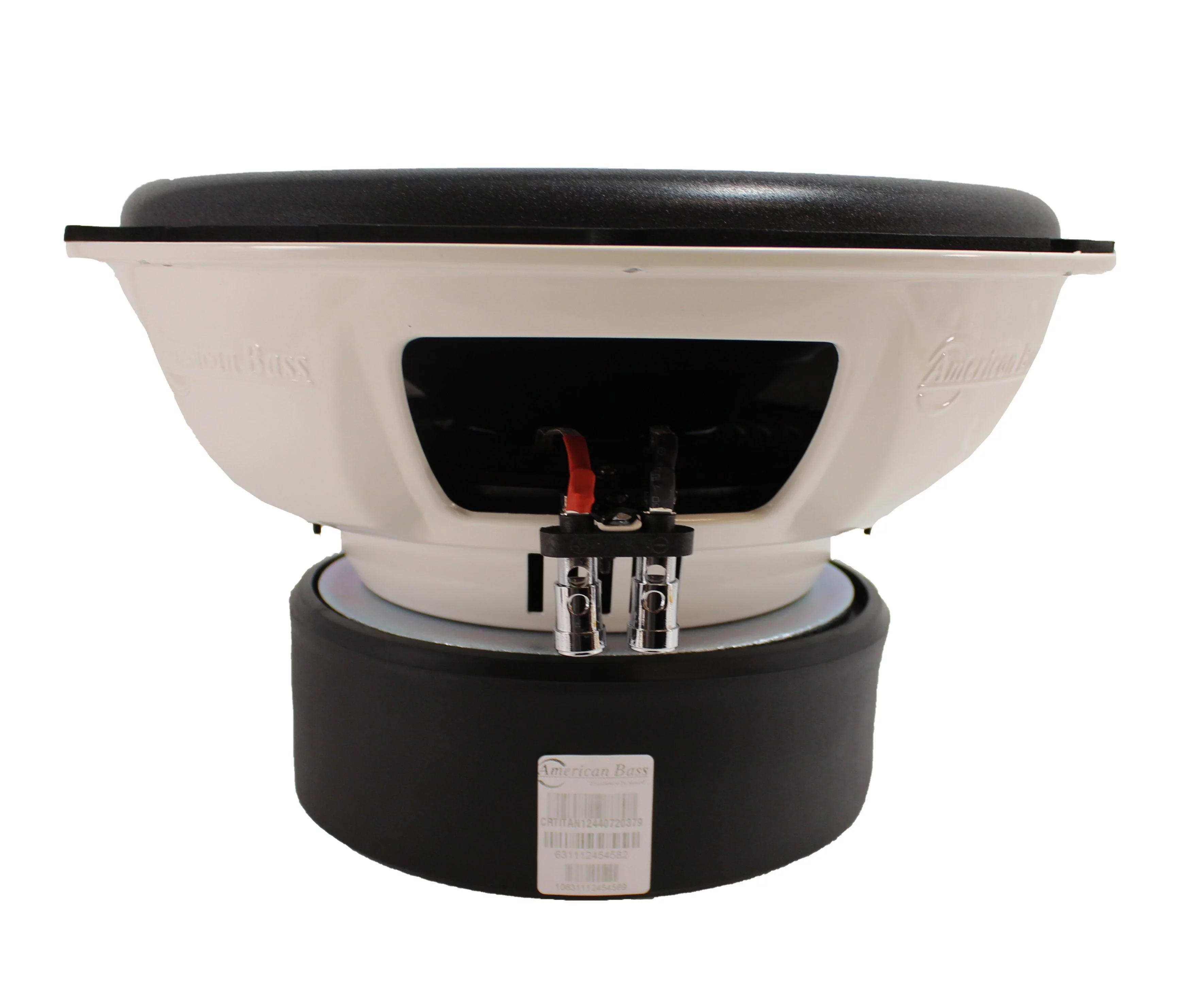 Pair of American Bass 12