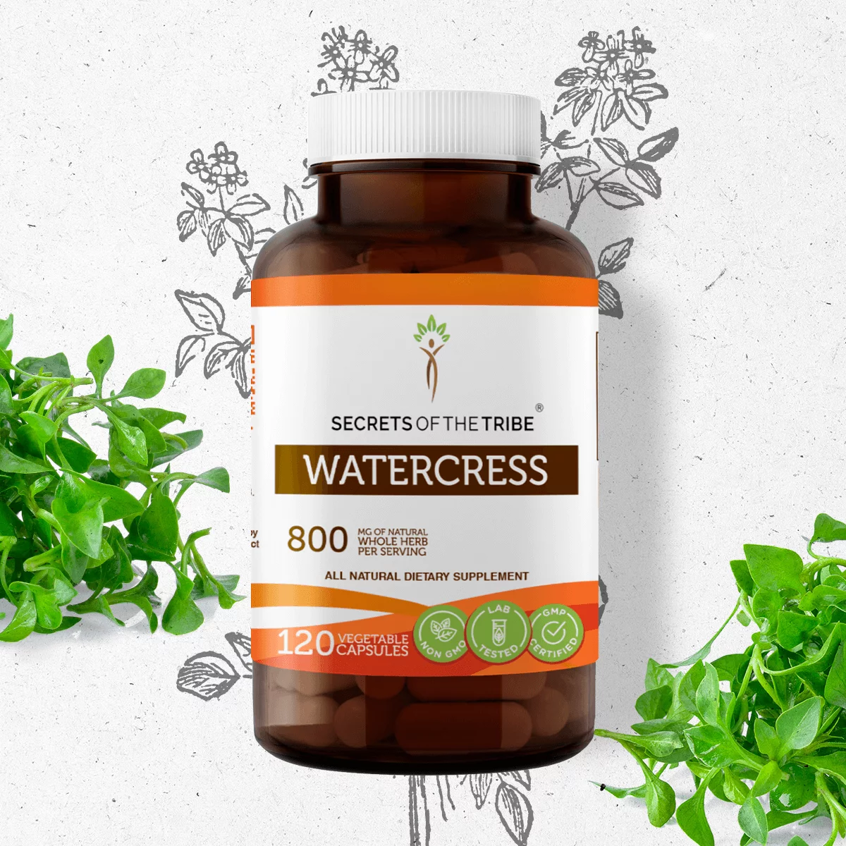 Secrets of the Tribe Watercress 120 Capsules, 400 mg, Organic Watercress (Nasturtium Officinale) Dried Herb