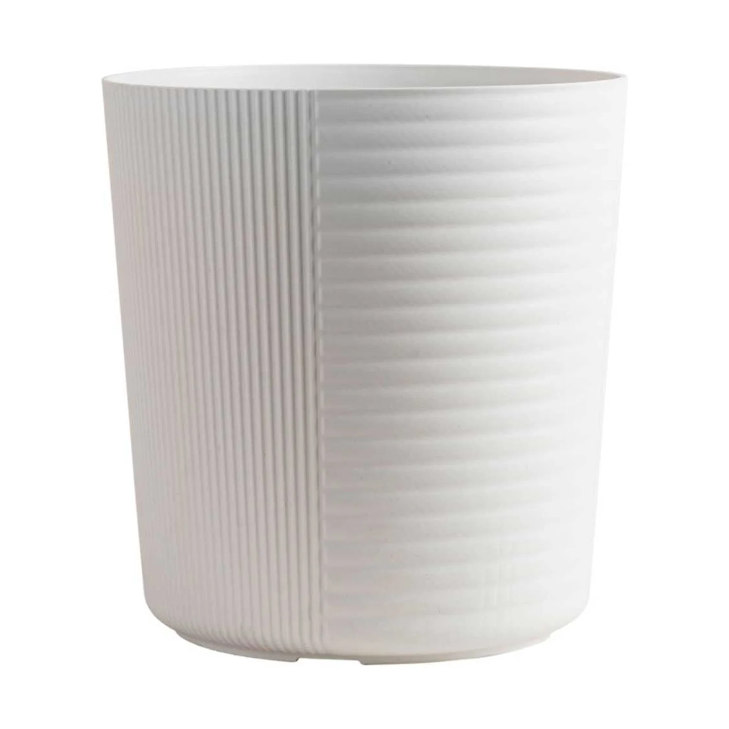 24in. Tall Dieffenbachia; Indirect Sunlight Plant in 9.25in. White Pot