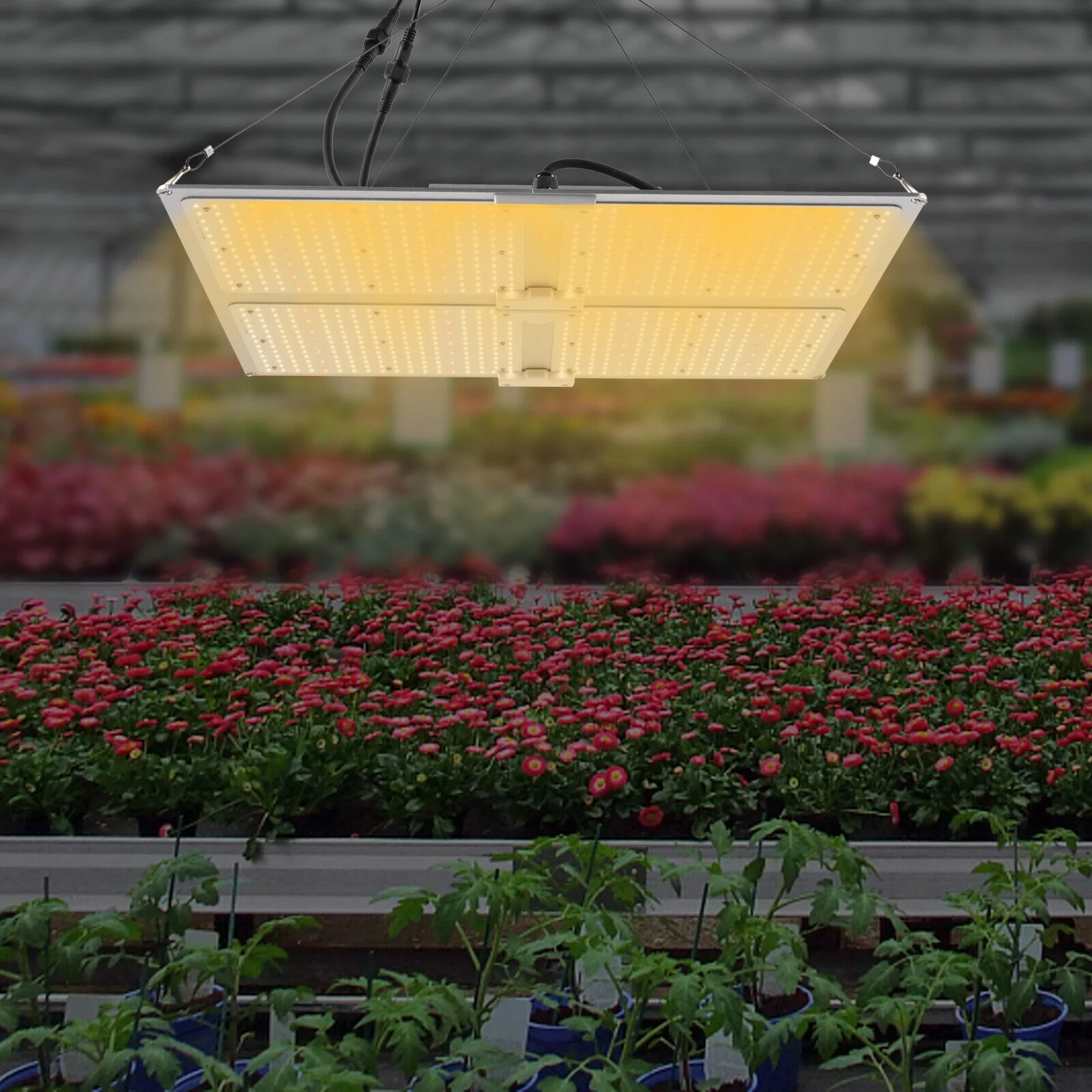 450W LED Grow Light Full Spectrum Flower Bloom Dimmable Plant Lamp