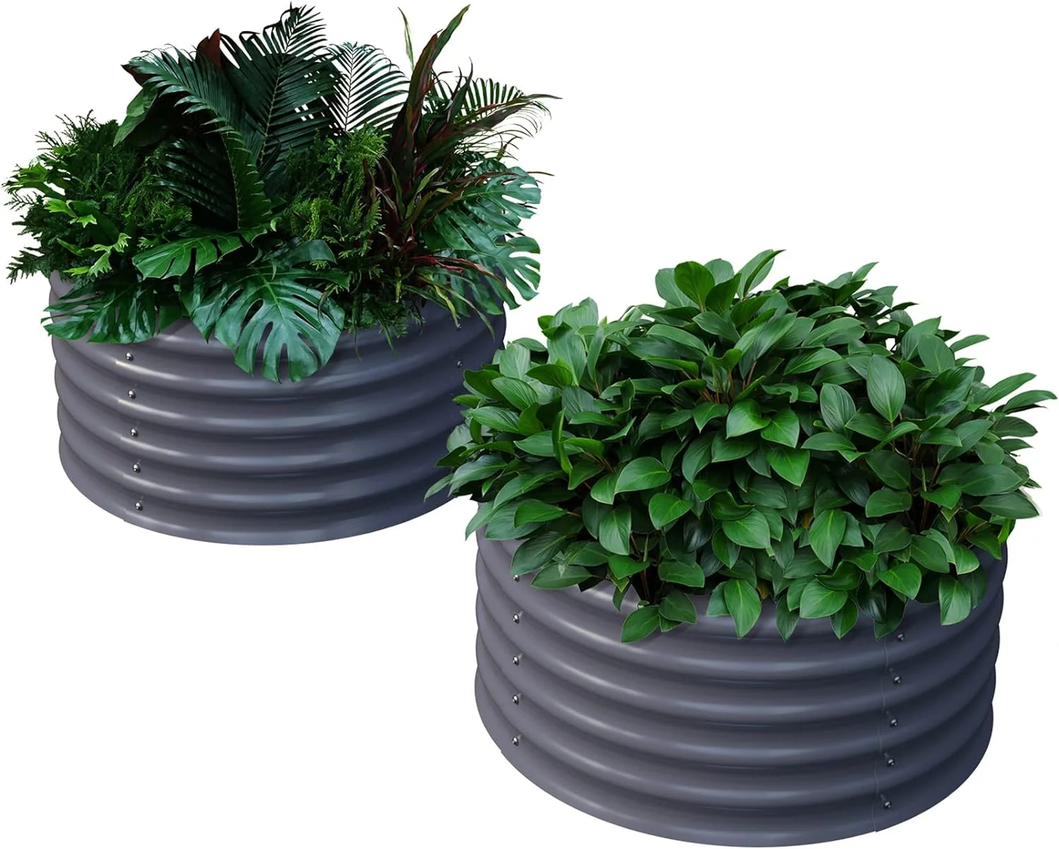 2 Pack Upgrade Raised Planter Box 17