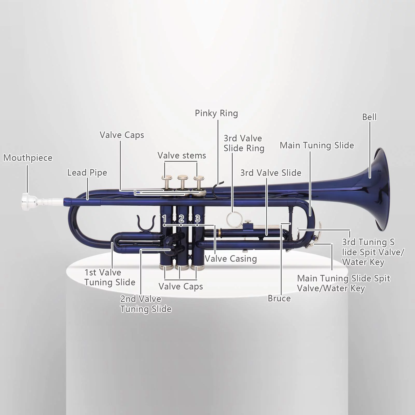 UBesGoo Bb Beginner School Band Trumpet with Mouthpiece Case Blue Green Purple