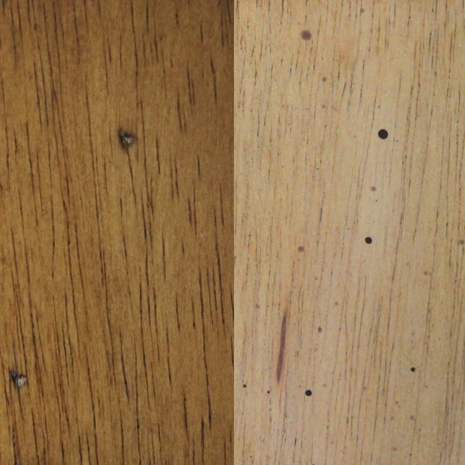 HomeStock 8 Piece 72