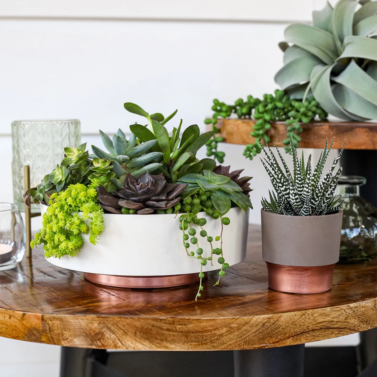 The HC Companies 8 Inch Capri Bowl Indoor Succulent Planter Pot, Artisan Taupe