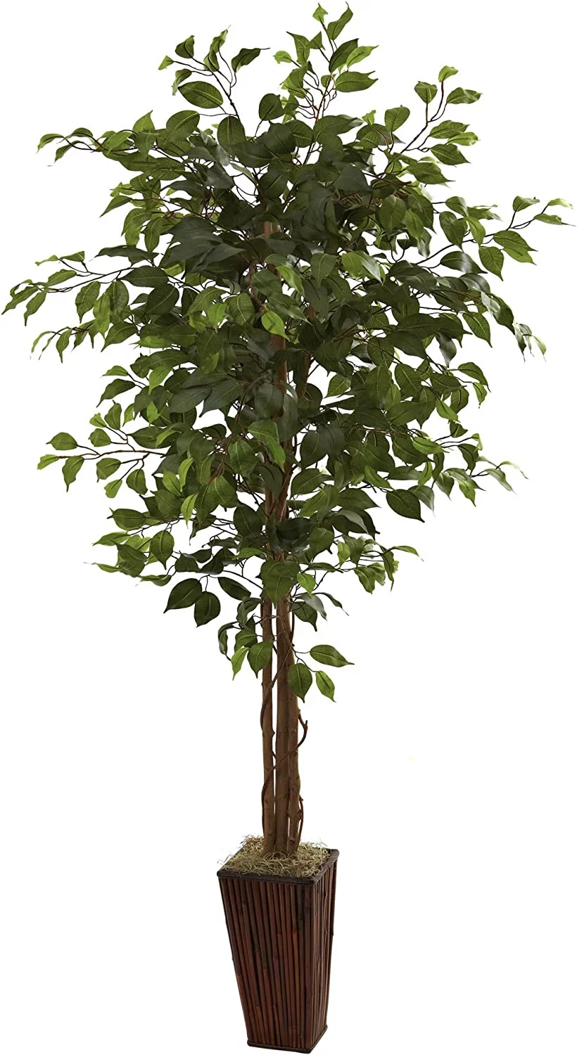 HYUN 5931 6ft. Ficus Tree with Bamboo Planter,Green