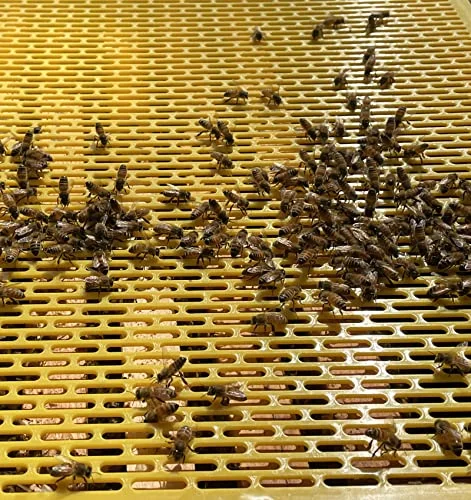 WJBZJBZW Queen Excluder 10Frame Plastic, excluders for Beehive, Beekeeping Toolst, Plastic Excluder,Separating The from Bee, Fits 10 Frame Langstroth Beehives, 19x16x0.03inch