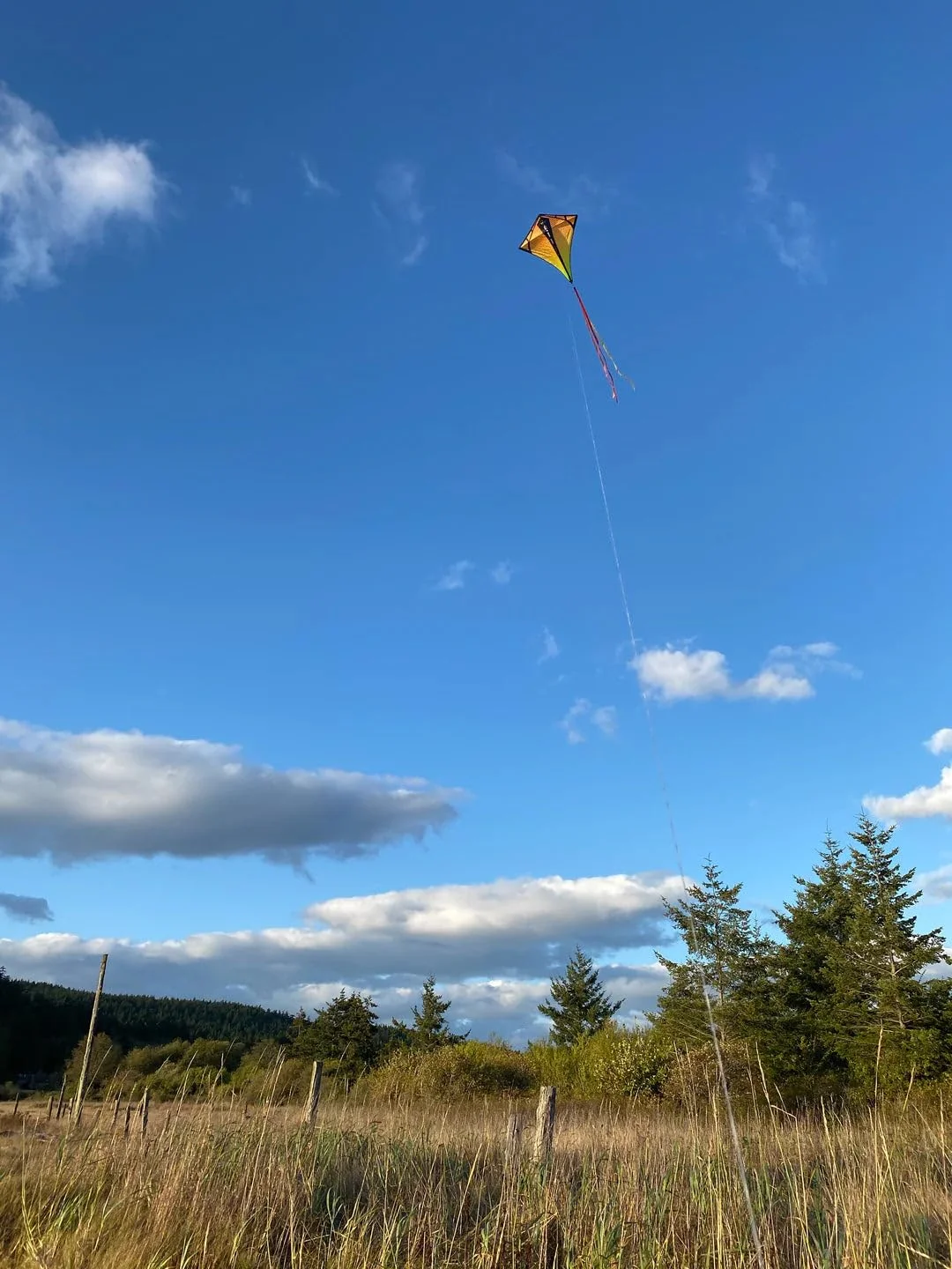 Prism Kite Technology Vertex High Flying Diamond Kite with 10' Long Triple Streamer Tail, Infrared