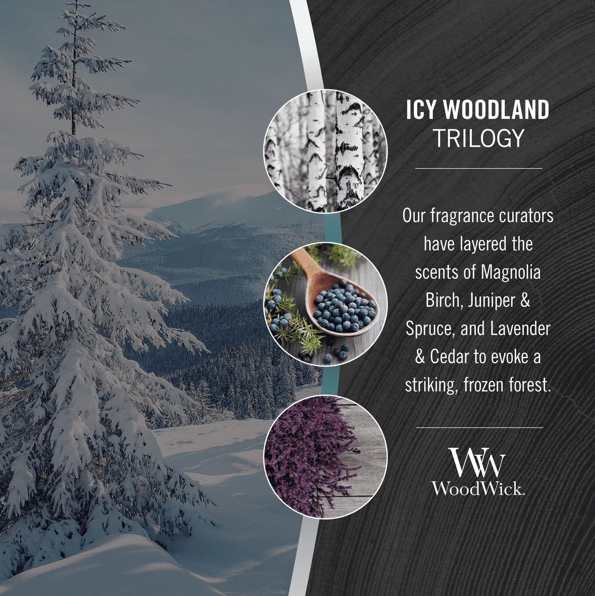 WoodWick Trilogy Icy Wonderland - Medium Hourglass Candle