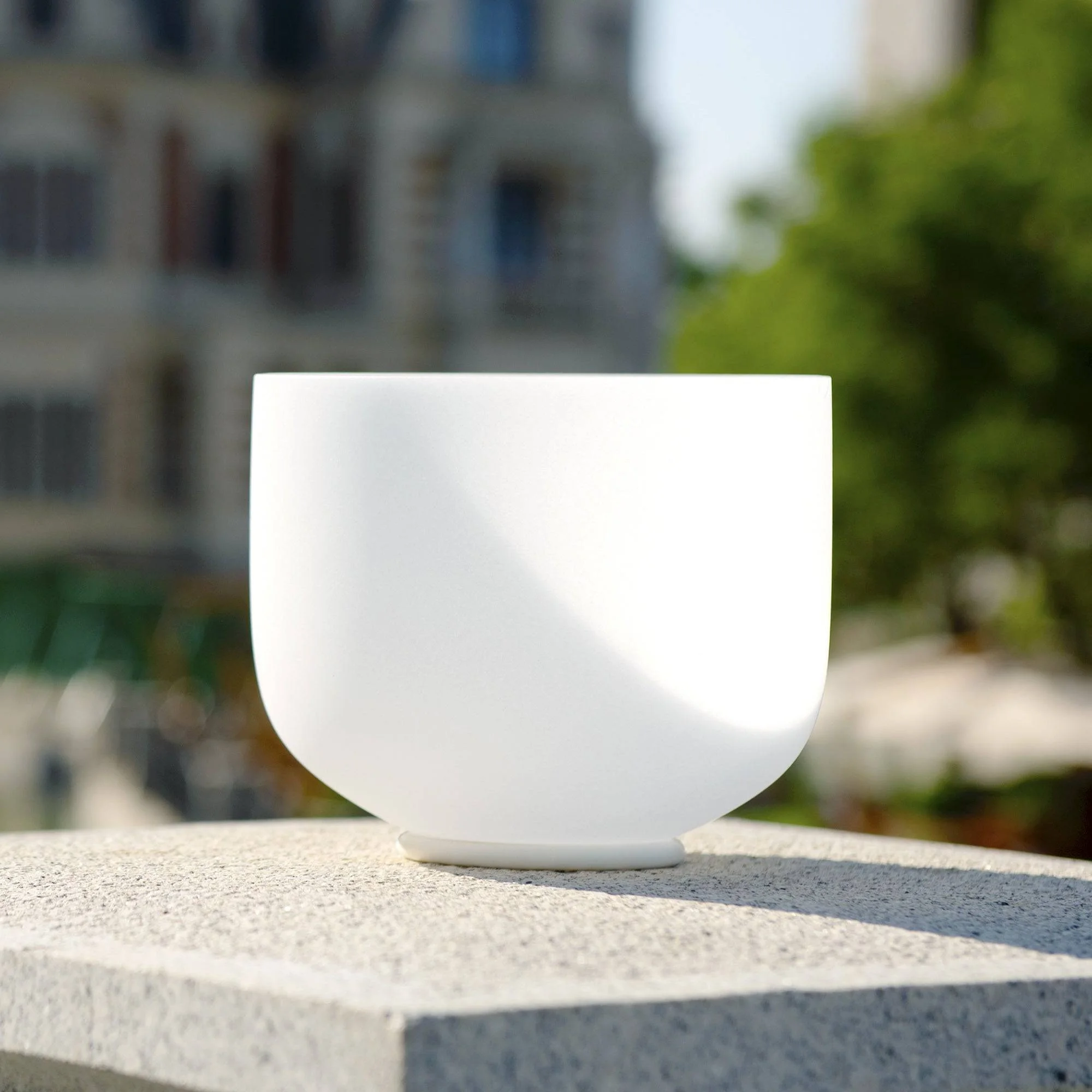 TOPFUND E Note 10 inch Crystal Singing Bowl Solar Plexus Chakra with Heavy Duty Carrying Case and Suede Stick