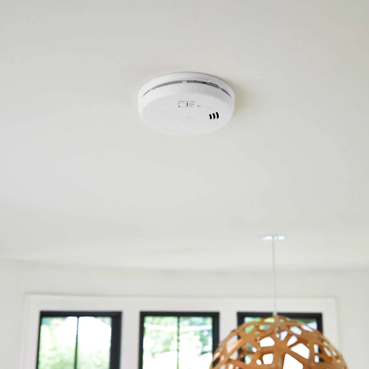 First Alert Precision Detection 10-Year Smoke and Carbon Monoxide Alarm 2 Pack